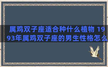 属鸡双子座适合种什么植物 1993年属鸡双子座的男生性格怎么样呢喜欢什么样的女生